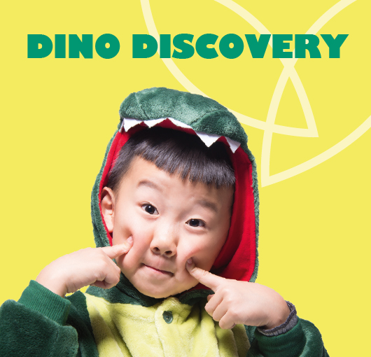 Discover the land of the Dinosaurs
