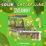 Colin the Caterpillar Giveaway! 🍫🐛