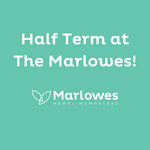 Half Term at The Marlowes!