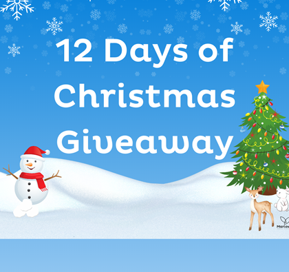 12 Days of Christmas Competition