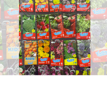 Half-term Gardening at Poundstretcher