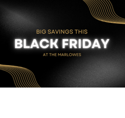 Black Friday 2024