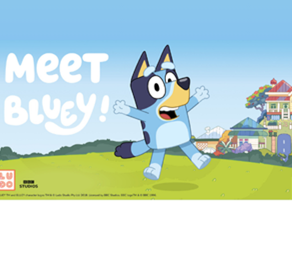 Meet Bluey