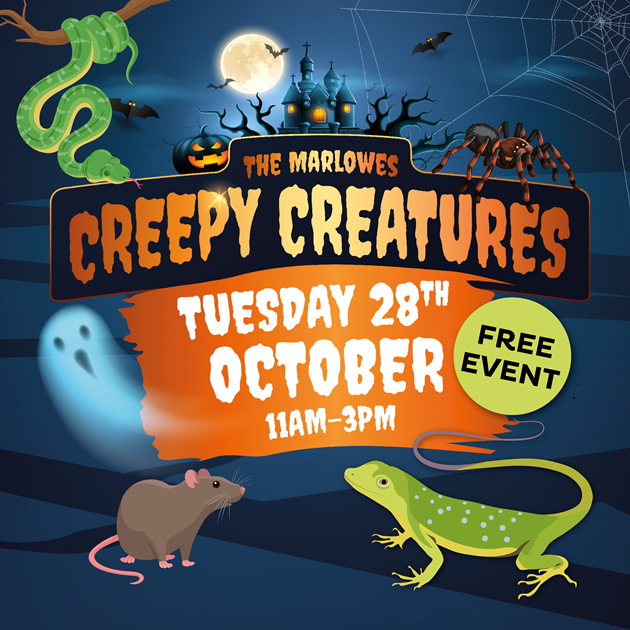 MARL Halloween animals 25_Insta.png
