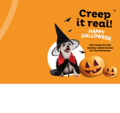 Spooky Essentials!